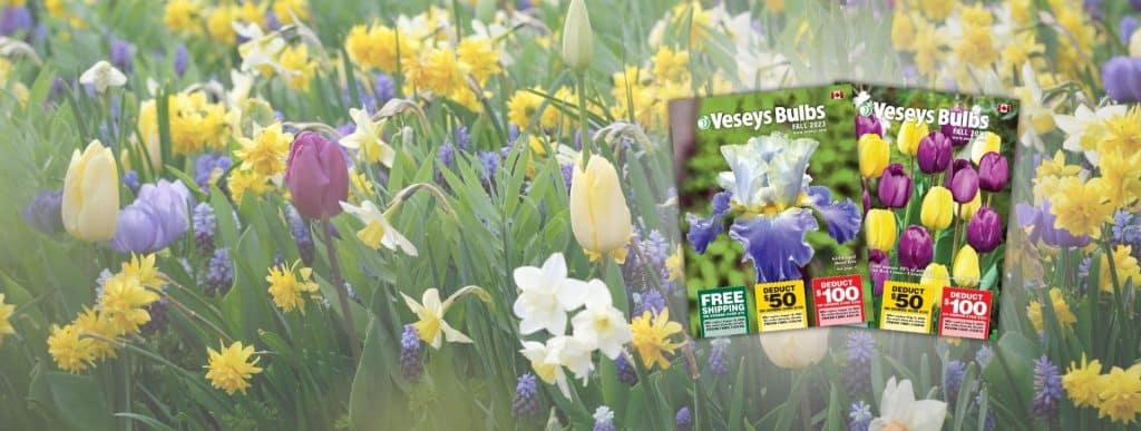 Veseys Seeds catalogues