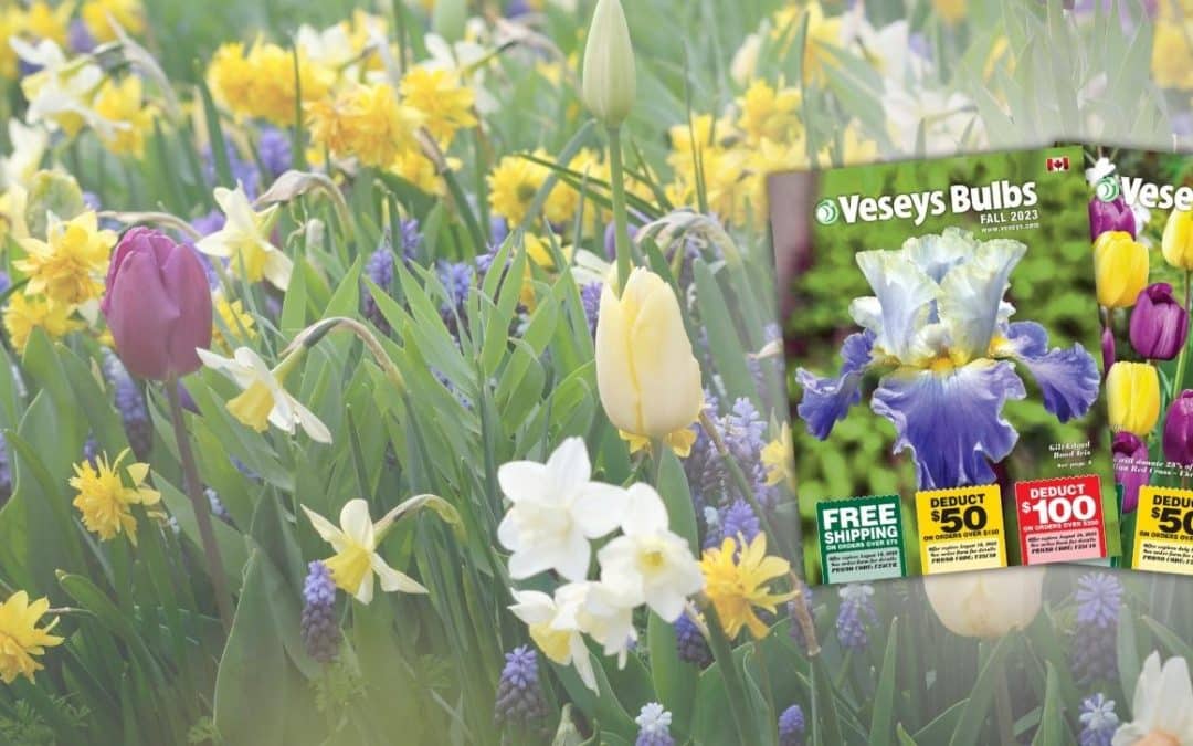 Veseys Seeds catalogues